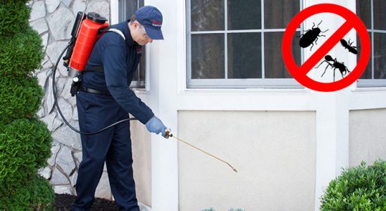 Karapürçek Fare İlaçlama böcek ilaçlama ve haşere kontrolü — ilaclama-tr.com